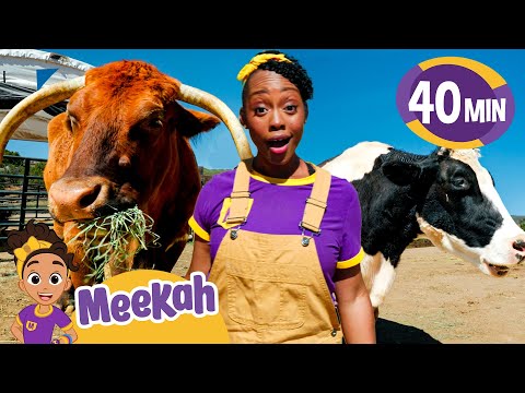 Meekah's Cow Adventure at the Farm! | Educational Videos for Kids | Blippi and Meekah Kids TV