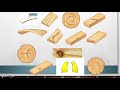 Timber Defects and Characteristics