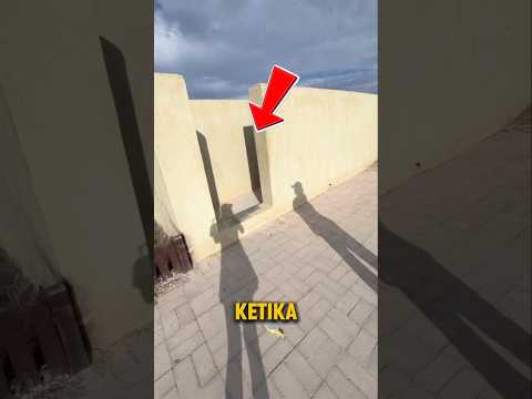 Tersesat di Labirin, Hampir Gak Bisa Keluar! 🤯