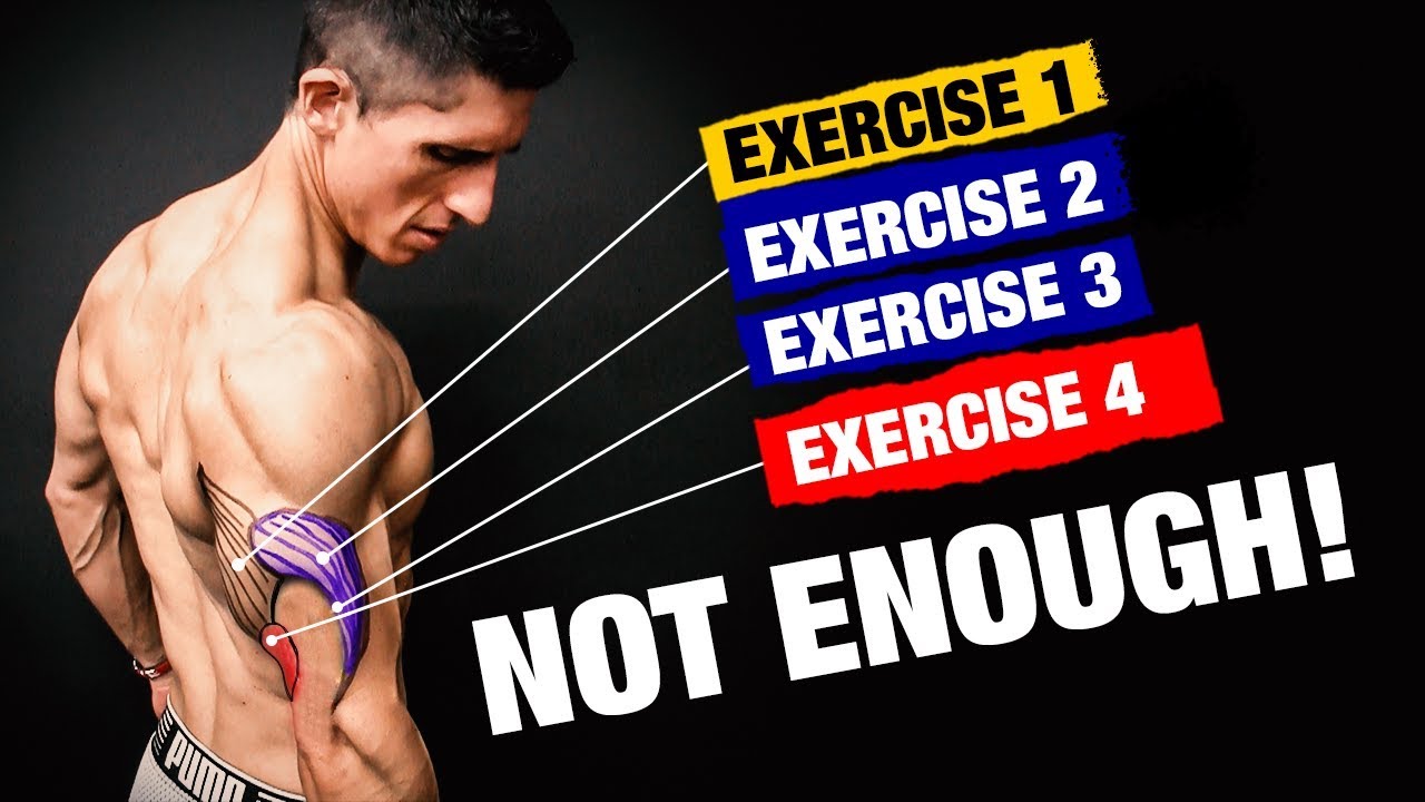 The PERFECT Triceps Workout (Sets and Reps Included)
