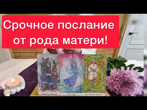 ❤️‍🔥Срочное послание тебе от рода матери!❤️‍🔥Расклад на картах таро