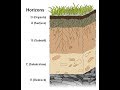 Exploring Soil Formation and Weathering Processes
