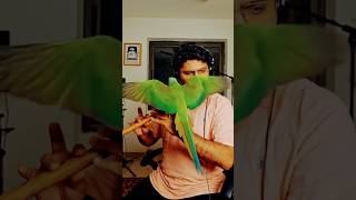 बेताबी क्या होति है .... दिलसे !! #ai #aishorts #shorts #viral #narayanrokayavlogs #youtubeshorts