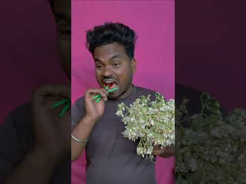 Green Moringa & Lotus Lollipop by technical fuchkul