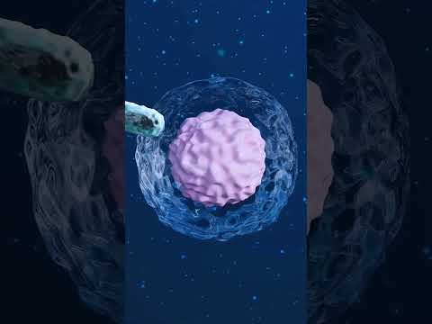 What Are Tonsil Stones? #science #knowledgetak