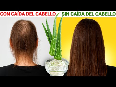 ¡Usa Aloe Vera para HACER CRECER el CABELLO y Detener la Caída!