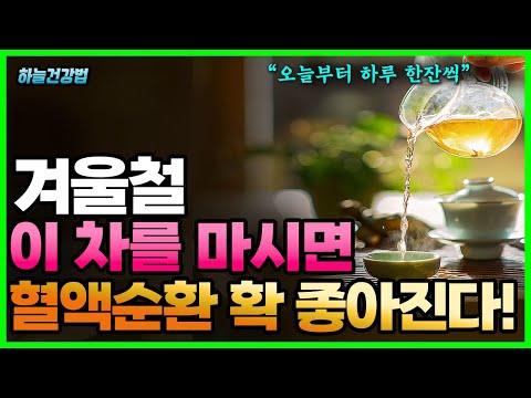 이 차를 마시면 혈액순환 좋아진다! 겨울에 마시기 좋은 차, 물 대신 마시면 안되는 차