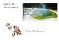 Hot Start Taq Polymerase Concepts