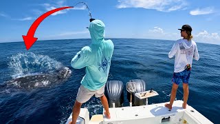 Fishing the World's Biggest TURTLES! | *PULL HARD*