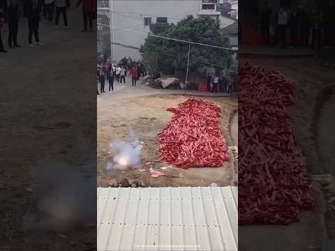 set fire to a lot of firecrackers #shortvideo