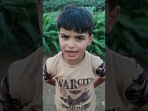 سرقولي الايس كريم