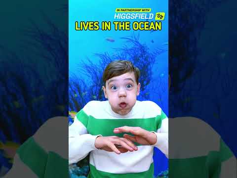 Where do these animals live? ๐ค Let's learn English animals and habitats #forkids #educational