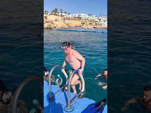 Тигровая АКУЛА снова СЪЕЛА ТУРИСТА в Египте 🇪🇬❗️