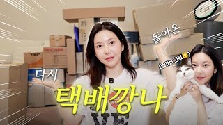 택배깡나📦 저 간만에 옥천hub 왔어요🤗 말벌아찌처럼 달려와줘요 같이 택배 깝시다! / 깡나