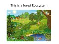 Ecosystem Components and Interactions