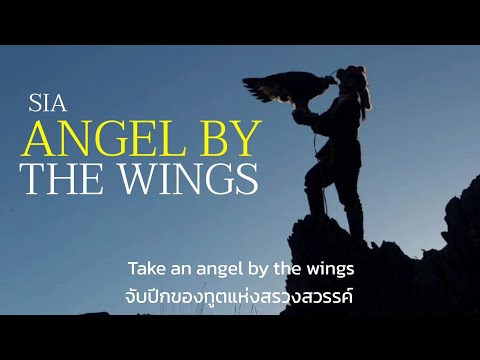 Thaisub-Angel-By-The-Wings--Sia-(แปลไทย)