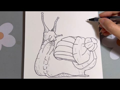 طريقة رسم حلزون بالخطوات رسم سهل وسريع
