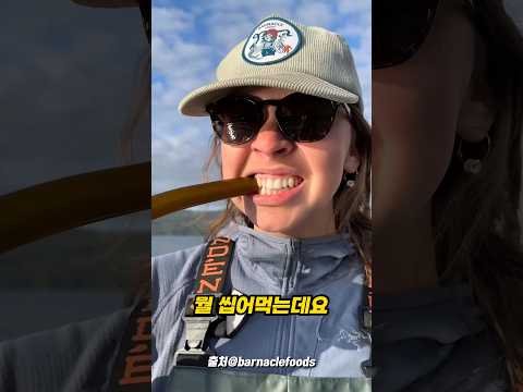 한국사람은 이걸 다르게 먹는데..