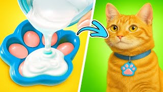 Spoil Your Cat with DIY Royal Treatment! 👑🐱 Cardboard Lounges & Cat Hacks!