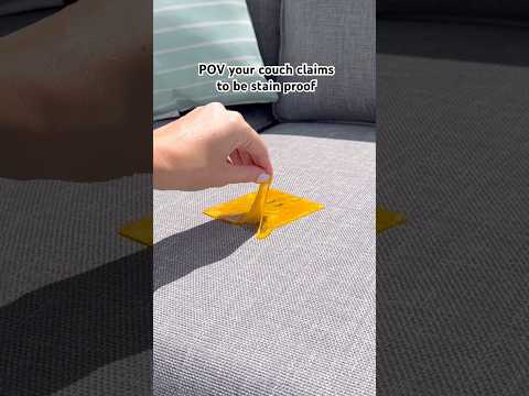 Melting cheese on my stain proof couch! What should I try next?