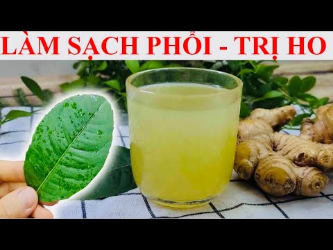 LÀM SẠCH PHỔI, TRỊ HO KHAN, HO ĐỜM, HO RA MÁU LÀM SẠCH GAN NHIỄM MỠ, CÂN BẰNG ĐƯỜNG HUYẾT