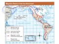 Migration of the First Americans