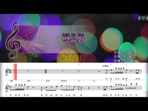 [🎙노래방플리] 안예은/우예린 🎶 백유화 karaoke