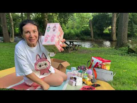 POP MART LABUBU BLIND BOX FIGURE | CRYB BABY | MICKEY MOUSSE | Dobişko Tv