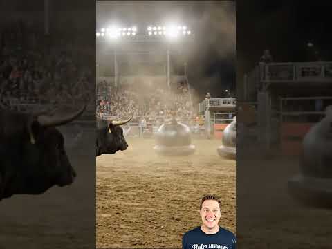 Insane Rodeo Bull vs. Bubble Ball! Would YOU Survive This? #shorts