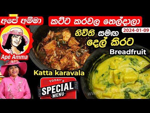 ✔‍ Apé Amma Today's Special කට්ට කරවල තෙල් දාලා නිවිති සමඟ දෙල් කිරට