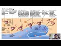 Protein Folding and Synthesis Concepts