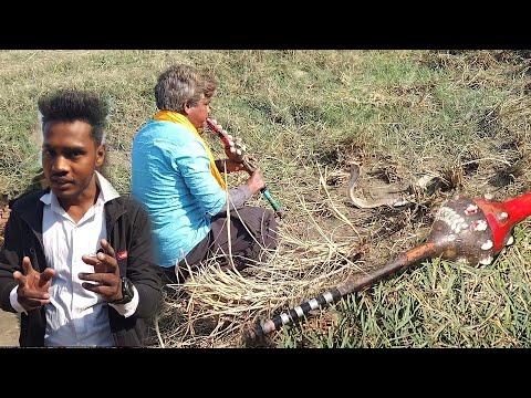 सपेरों का पर्दाफाश,। देखिए कैसे लोगों को बेवकूफ बना रहे थे। अपने पास से ही सांप को छोड़ पकड़ रखा थे।