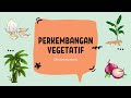 Kuis Perkembangbiakan Tumbuhan