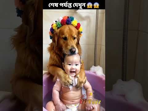 কুকুরটি বাচ্চাটিকে কিভাবে লালন পালন করে দেখুন 😱😱😱 #BizBuzz #Shorts