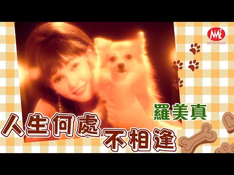 羅美真 Sara Loo丨人生何處不相逢 Remastered  Music Video