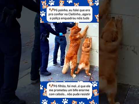 CACHORRO ENGRAÇADO - MAUS CAMINHOS #shorts #viralshorts #memes #pets