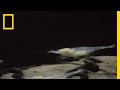 Blind Shrimp Ecosystem and Adaptations