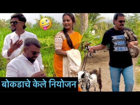 बोकडाचे केले नियोजन॥भाग ६🤪Bokdache kele niyojan॥episode 6🤪