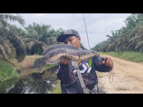 PERDANA CASTING TOMAN DI WILAYAH INHU RIAU || TRIP SINGKAT SEBELUM ACARA CASBAR ABG YANG KE 7