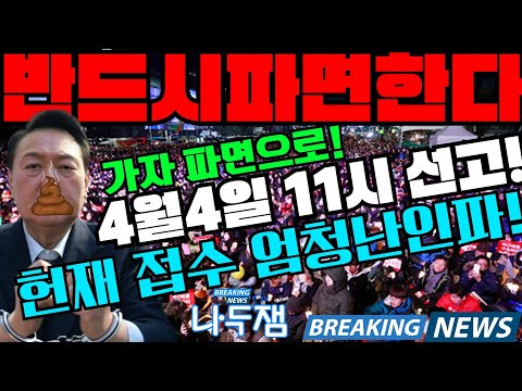 헌재 난리났다! 헌재 포위한 민주시민들 좀비 발작! 윤석열 심판의 날! 결정! 4월4일 11시 파면선고! 가자 파면으로! #나두잼
