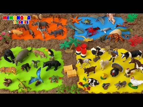 Nombres de Animales: Sabana Granja Océano Selva 🐘🐷 Videos educativos ✨ Mimonona Stories