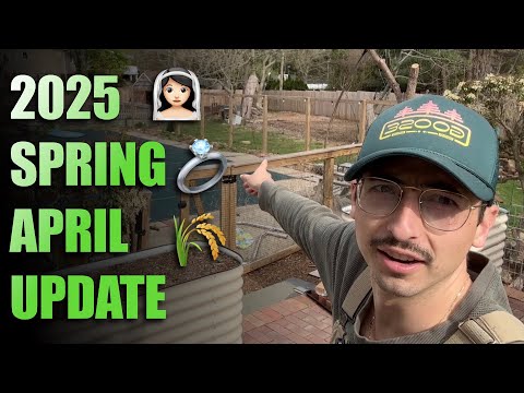 2025 April Update With Donny Greens