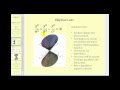 Understanding Quadric Surfaces and Traces