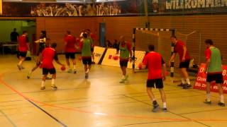 Füchse Berlin: erstes öffentliches Training 13/14(3)