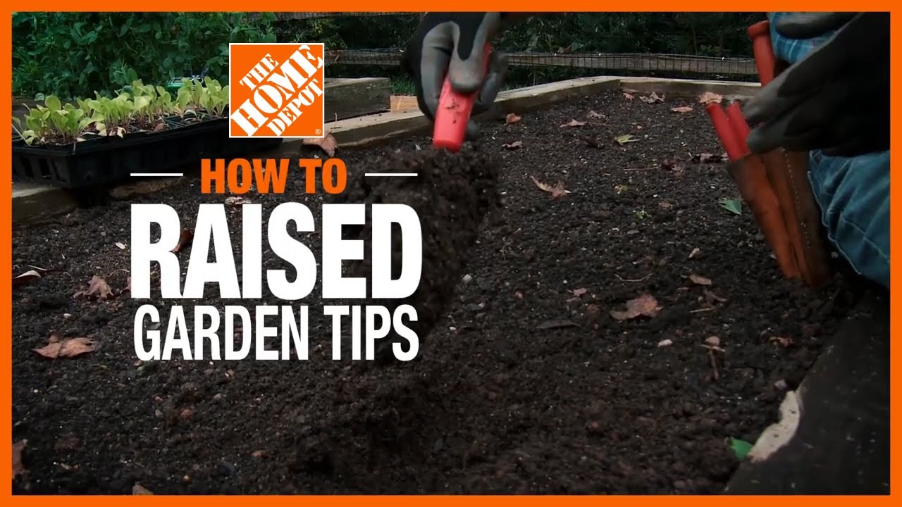 Ideas and Tips for Your Raised Garden