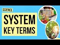 Efficiency and Work in Physics