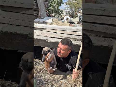 Tam zamanında çıkartmışım oradan bugün de yağmur yağdı