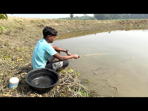 fishing videos || traditional boy catching fish by hook in the village pond || #amazingfishing