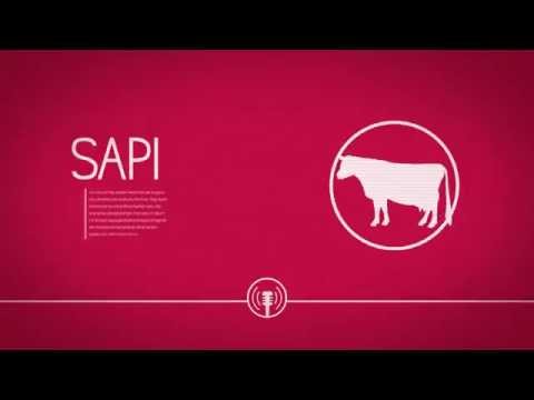 Nestlé Indonesia Video: Iklan KITKAT 'Asisten'