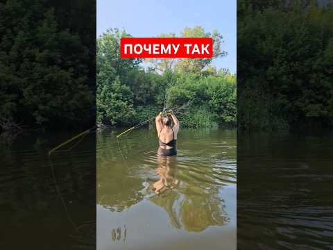 Почему так вышло?
